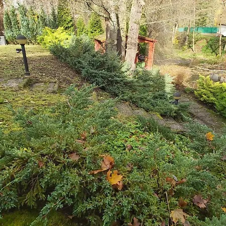 Gejzir 16
